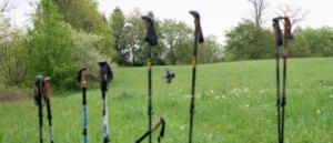 suspect-in-murders-of-arkansas-hikers-was-potentially-injured-during-attack,-police-say