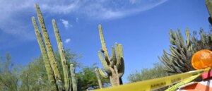 man-dies-in-nightmarish-way-in-front-of-his-coworkers-at-construction-site