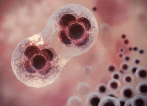 baby-born-from-30-year-old-frozen-embryo-shocks-world-|-the-gateway-pundit-|-by-robert-semonsen