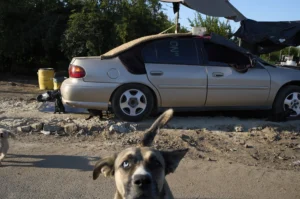 californians-voice-support-for-trump’s-homelessness-order-–-washington-examiner