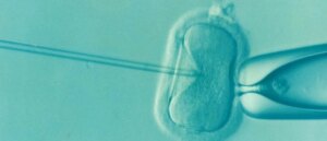 trump-admin-not-planning-to-require-health-insurers-cover-ivf