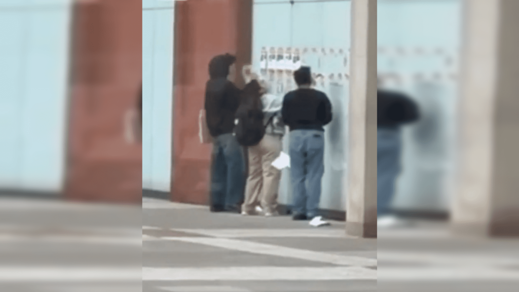 nyu-student-who-tore-down-posters-of-hostages-taken-by-hamas-terrorists-identified-as-former-adl-intern-|-the-gateway-pundit-|-by-margaret-flavin