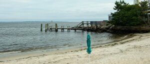 exclusive:-newsmax-host-hunts-down