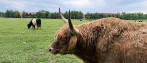 town-tries-to-seize-175-year-old-farm-land-from-family-for-affordable-housing