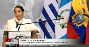 dem-rep.-delia-ramirez-declares-ice-a-‘terrorist-organization’-(video)-|-the-gateway-pundit-|-by-ben-kew