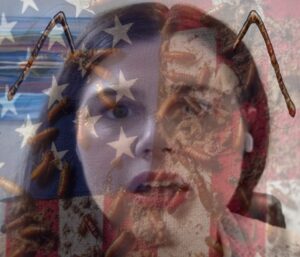 justice-didn’t-put-tina-peters-in-prison,-criminals-in-the-deep-state-did-|-joe-hoft