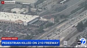 fleeing-illegal-escapes-ice-only-to-be-struck-by-suv:-he-didn’t-make-it