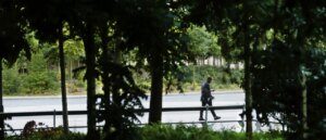 beatniks-genuflect-to-tree-over-climate-change