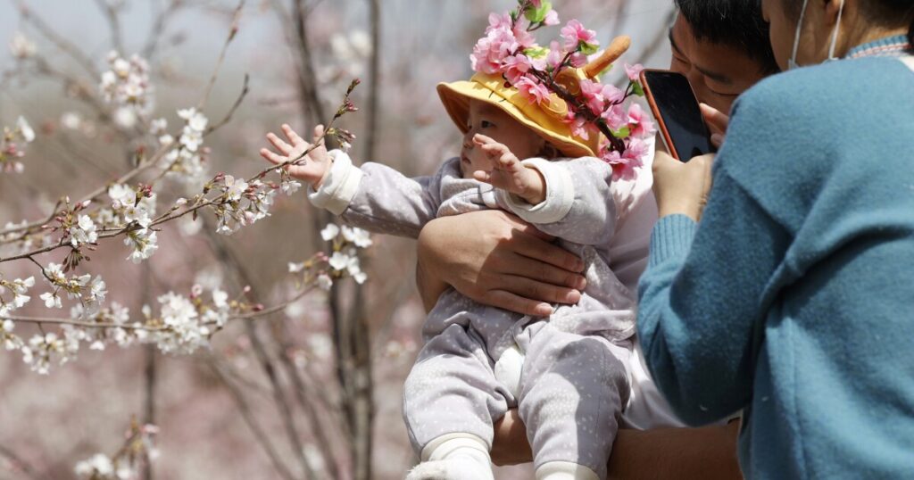 nestle-baby-formula-factory-in-ireland-closing-over-plummeting-chinese-birth-rate
