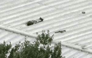 ablechild:-trump-attempted-assassin’s-identity-still-not-known-in-butler,-pa-|-joe-hoft