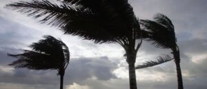 tropical-storm-fernand-forms-in-atlantic-ocean,-expected-to-become-hurricane