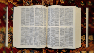 ‘skibidi’-and-other-slang-words-favored-by-young-americans-find-their-way-into-the-dictionary