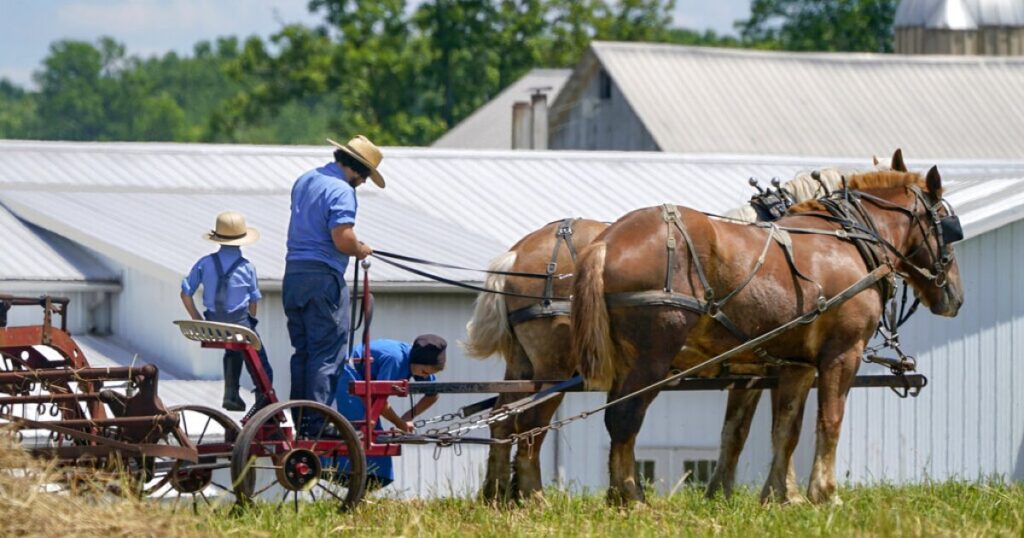twin-sisters-accused-of-swapping-roles-in-fatal-amish-buggy-crash