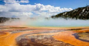 these-newly-discovered-cells-breathe-in-two-ways