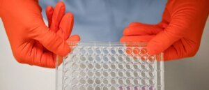 state-bans-lab-grown-meat-in-bid-to-protect-ranchers