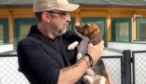 sanctuary-rescuing-47-beagles-from-chinese-testing-lab-|-the-gateway-pundit-|-by-cassandra-macdonald