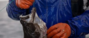 13-year-old-pulls-in-potentially-record-breaking-fish-that-weighs-more-than-him