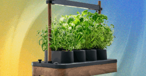 the-auk-mini-herb-garden-is-the-perfect-cooking-companion