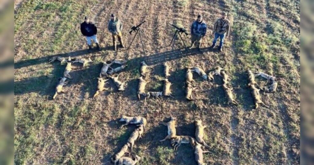 music-artist-aaron-lewis-spells-trump-24-with-32-coyotes-after-successful-hunting-trip-|-the-gateway-pundit-|-by-anthony-scott
