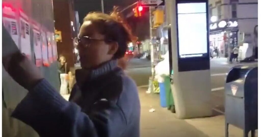 woman-in-new-york-is-the-latest-jew-hater-caught-on-camera-tearing-down-posters-of-innocent-israeli-hostages-|-the-gateway-pundit-|-by-david-greyson
