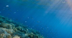 the-world’s-oceans-are-hurtling-toward-breaking-point