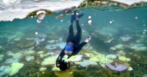 the-world’s-oceans-are-hurtling-toward-a-breaking-point