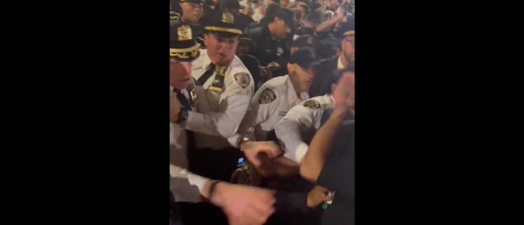 ‘from-the-river-to-the-sea’:-anti-israel-protesters-clash-with-nypd