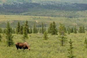 npca-calls-for-national-parks-to-close-if-government-shuts-down