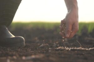 trump-promises-to-allocate-tariff-revenues-to-bail-out-us.-farmers-–-gateway-hispanic