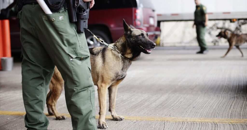 736-known-or-suspected-terrorists-apprehended-at-us.-border-in-fiscal-2023