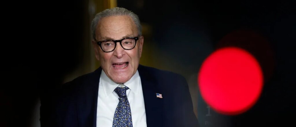 schumer-linked-group-reportedly-tells-democrats-to-gear-up-for-long-term-shutdown