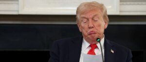 dei-obsessed-elites-can