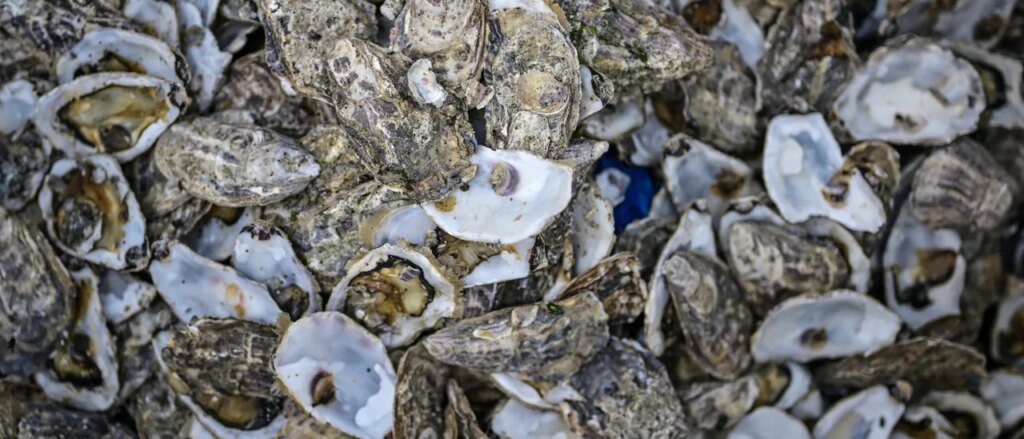 democrat-senate-candidate-denies-his-uncovered-tattoo-is-nazi-symbol