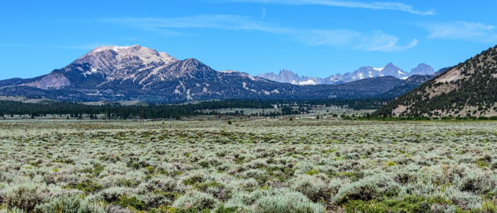 us-supervolcano’s-earthquake-swarms-are-a-‘good-thing,’-scientists-say
