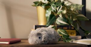 casio’s-fluffy-ai-robot-squeaked-its-way-into-my-heart