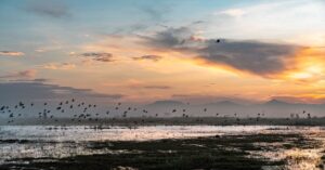 rainfall-buries-a-mega-airport-in-mexico
