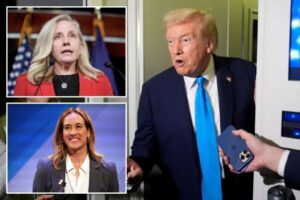 democrats-look-to-sell-vision-of-spiraling-trump-economy-in-final-pitch-before-election