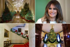 white-house-reopens-public-tours-as-holiday-season-begins