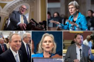 what-democrats-have-said-about-voting-to-end-the-government-shutdown