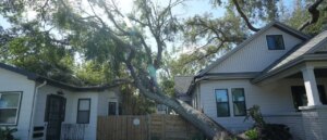 woman-was-paying-her-neighbor