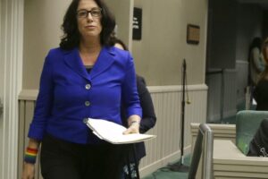 christine-pelosi-running-for-california-state-senate