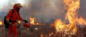 lafd-official-reportedly-knew-crews-were-directed-to-leave-lachman-fire-before-palisades-inferno