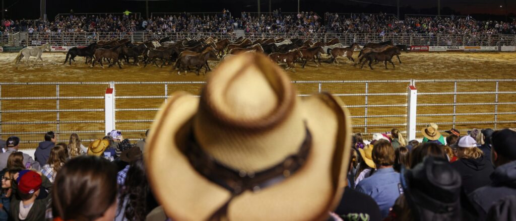 this-guy-got-so-into-‘yellowstone’-that-he-bought-a-horse-and-started-taking-it-to-bars