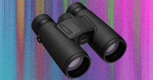 the-best-binoculars-will-help-you-find-the-ivory-billed-woodpecker