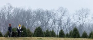 rooke:-war-on-christmas?-—-big-tech