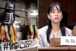 mia-cathell-testifies-on-anti-ice-uprisings-at-senate-judiciary-hearing