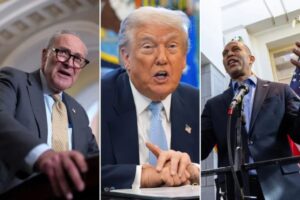 democrats-slam-trump’s-call-for-the-‘execution-of-elected-officials’