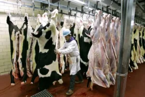 the-age-old-debate:-do-illegal-immigrants-steal-american-jobs?