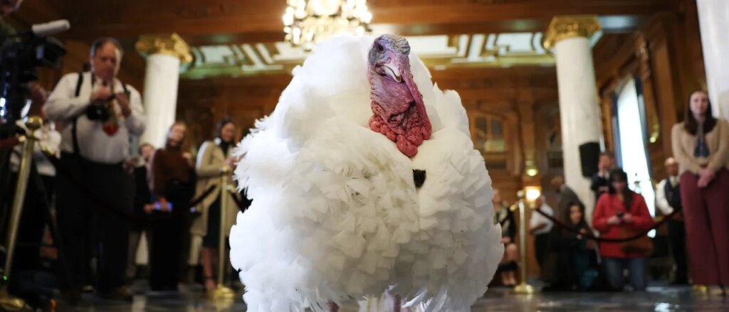 how-congress-forged-thanksgiving