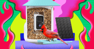 birdfy-smart-bird-feeders-are-the-cheapest-they’ve-been-all-year-on-amazon-right-now